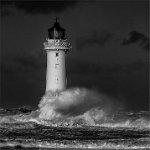 468 - STORM BREWING - O'NEILL NORMAN - united kingdom